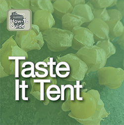 Taste if Tent How To